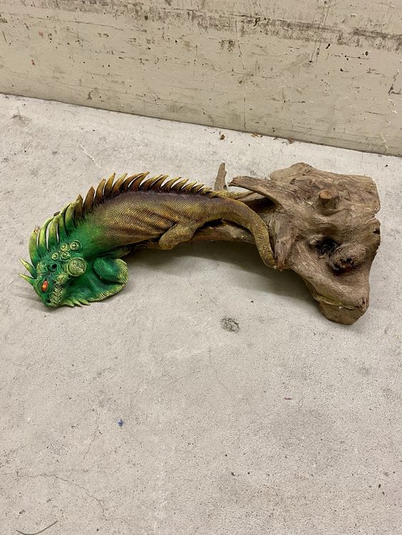 Leguan auf Treibholz