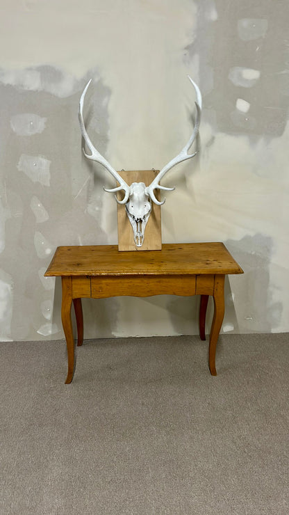 Hirschgeweih Schädel Jagdtrophäe,Weiss, Wanddeko inkl. Haken