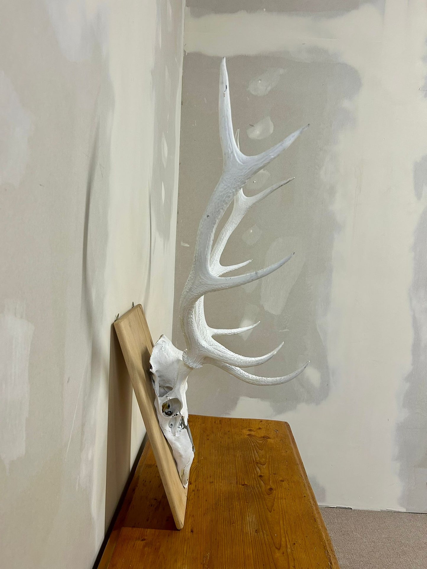 Hirschgeweih Schädel Jagdtrophäe,Weiss, Wanddeko inkl. Haken