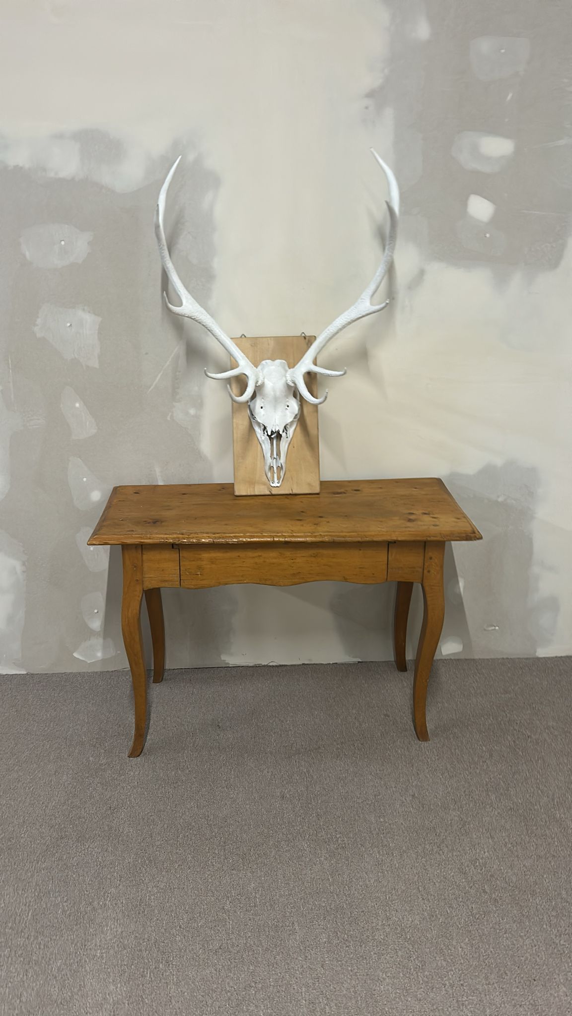 Hirschgeweih Schädel Jagdtrophäe,Weiss, Wanddeko inkl. Haken