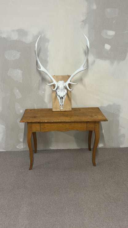 Hirschgeweih Schädel Jagdtrophäe,Weiss, Wanddeko inkl. Haken