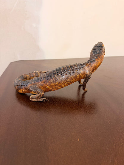 Exotisches Kaiman Präparat, ca. 33cm lang, Deko, Rarität