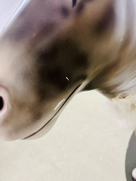Lebensgrosser Rentier aus Polyesterguss und Airbrush