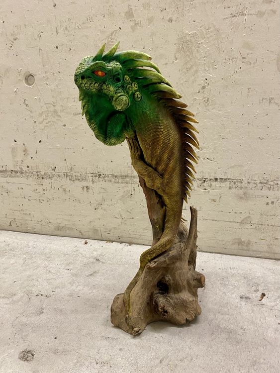 Leguan auf Treibholz
