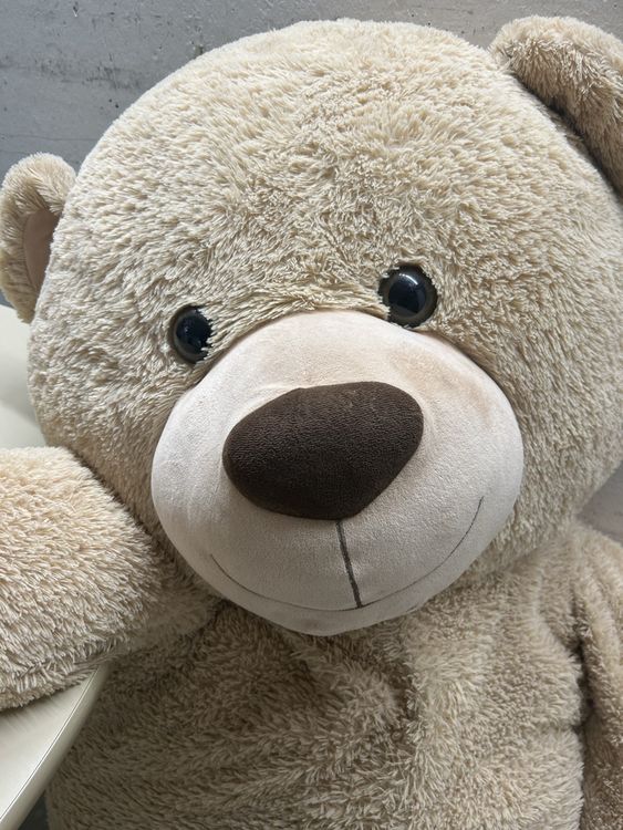 Riesen Teddybär XXL Kuscheltier Plüschbär Stofftier Bär