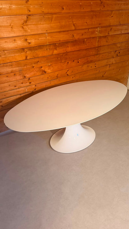 Ovaler Space Age Tisch mit Tulpenfuss in weiss, Tulip Stil