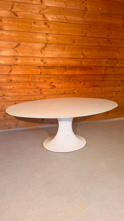 Ovaler Space Age Tisch mit Tulpenfuss in weiss, Tulip Stil