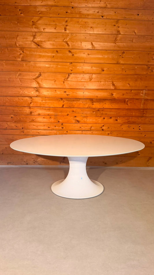 Ovaler Space Age Tisch mit Tulpenfuss in weiss, Tulip Stil