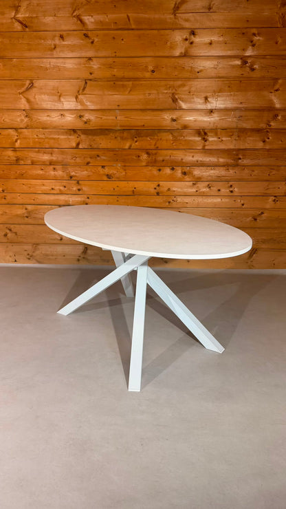 IKEA MARIEDAMM Ovaler Tisch Weiss Metallgestell