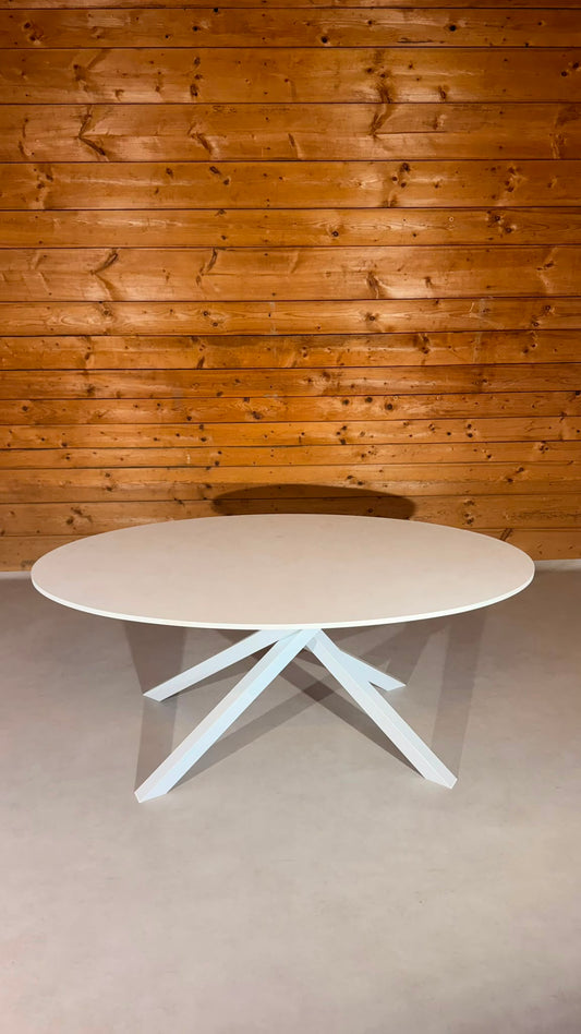 IKEA MARIEDAMM Ovaler Tisch Weiss Metallgestell