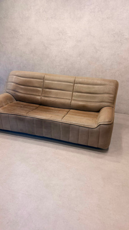 3-Sitzer Sofa DS-84 von De Sede aus Büffelleder (1)