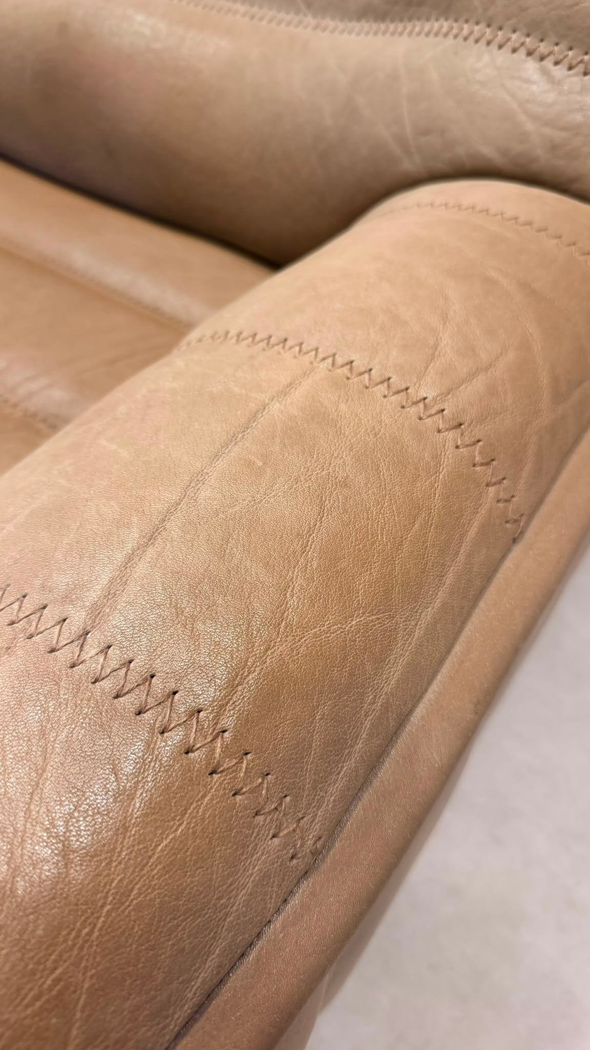3-Sitzer Sofa DS-84 von De Sede aus Büffelleder (1)
