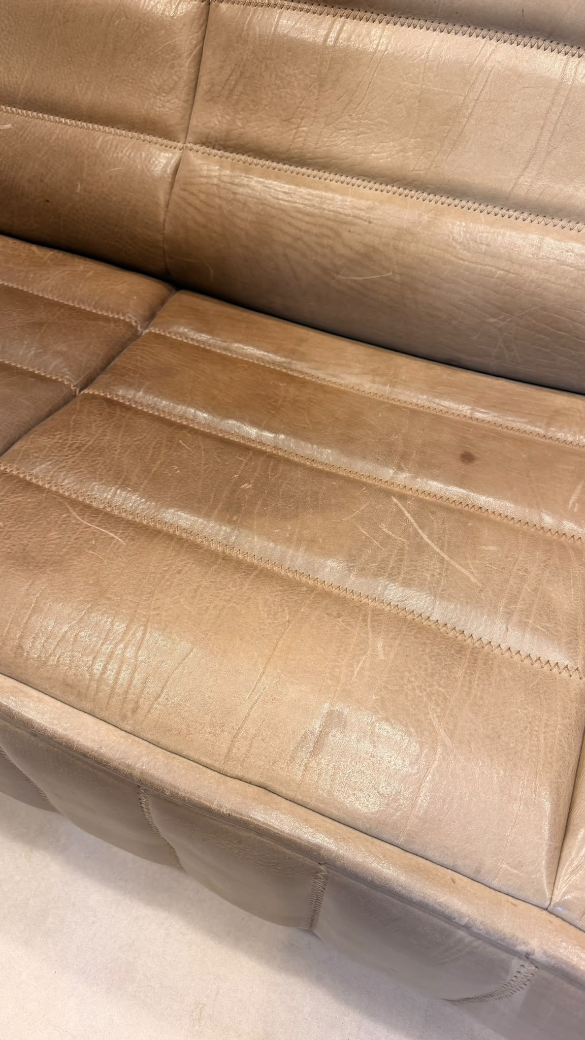 3-Sitzer Sofa DS-84 von De Sede aus Büffelleder (1)