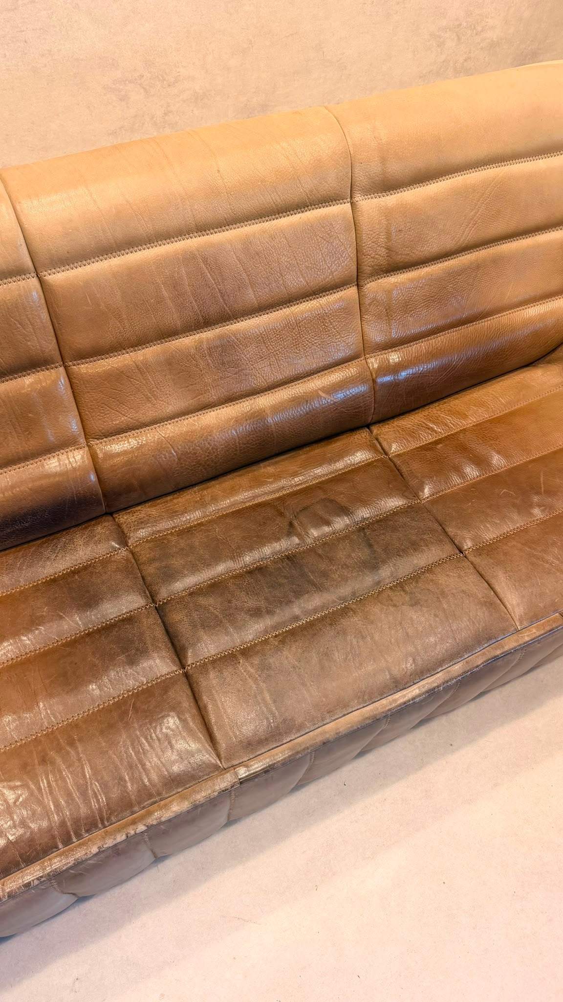 3-Sitzer Sofa DS-84 von De Sede aus Büffelleder (2)