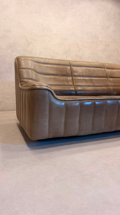 3-Sitzer Sofa DS-84 von De Sede aus Büffelleder (2)