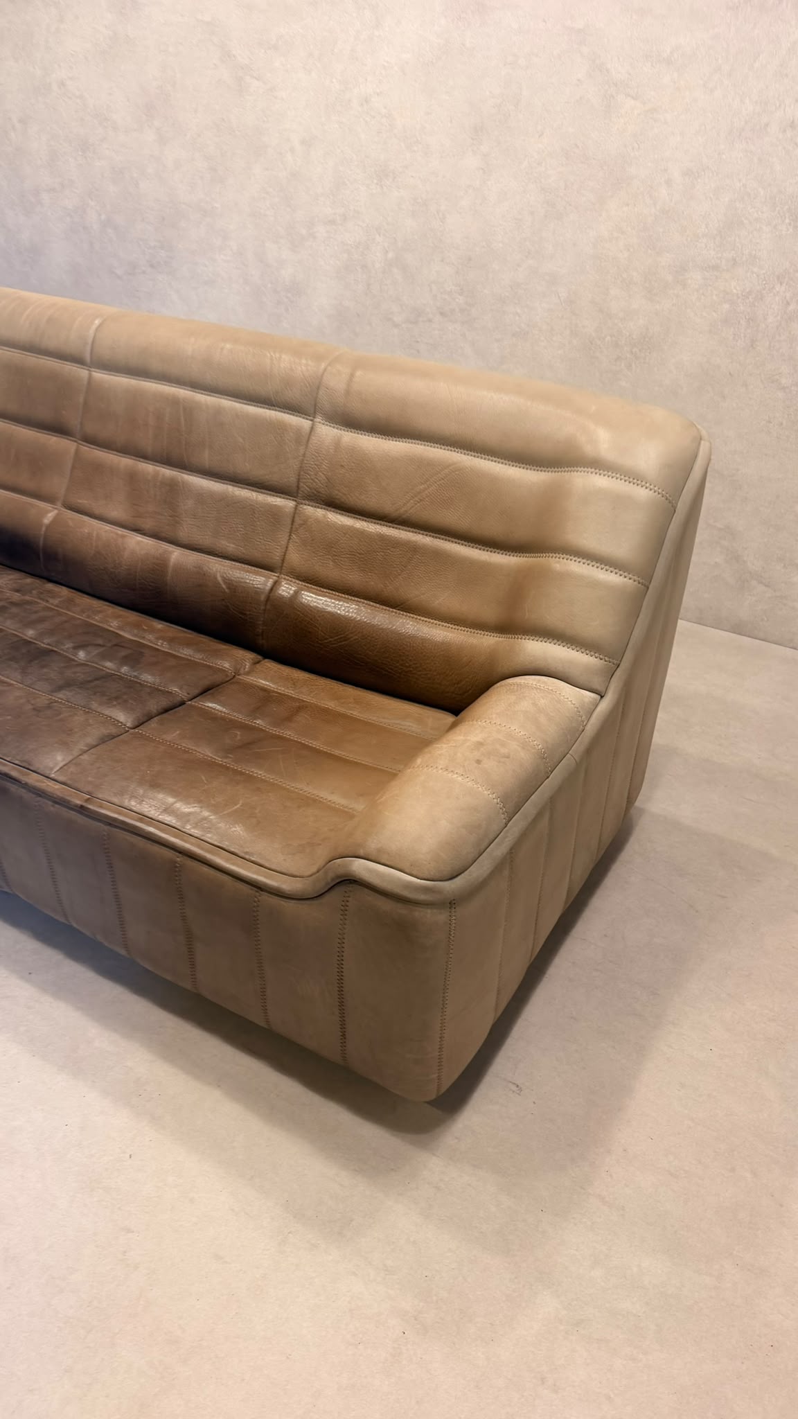 3-Sitzer Sofa DS-84 von De Sede aus Büffelleder (2)