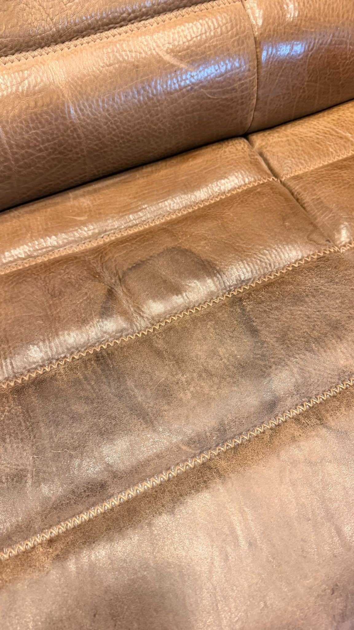 3-Sitzer Sofa DS-84 von De Sede aus Büffelleder (2)